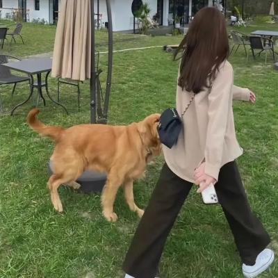 萨勒姆女巫事件