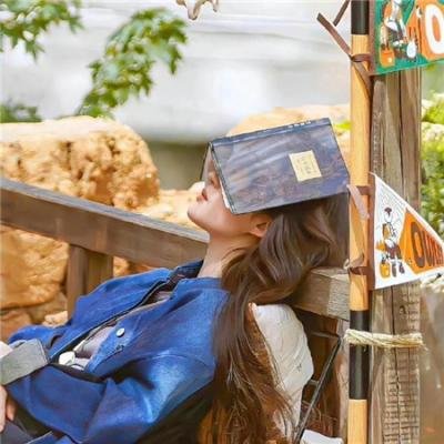 柿子坞的女人们